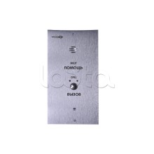 Устройство абонентское вызывное Тромбон СОРС-АВУ исп. В (цвет RAL7045 матовый)