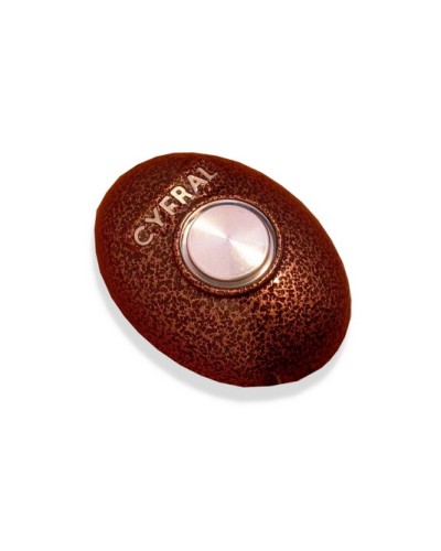 Кнопка открывания двери Цифрал КОДсП-4 в Сочи Многоабонентные устройства Pintop.ru