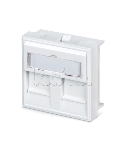 Вставка 45x45 (аналог Mosaic) для 2 модулей формата Keystone Jack Cabeus FP-45-2M в Сочи Модули Keystone Pintop.ru