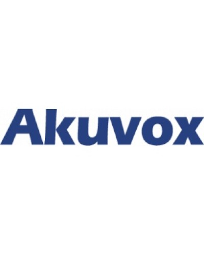 IP монитор (интерком-панель) Akuvox C313S_V2 в Сочи Абонентские IP устройства Pintop.ru