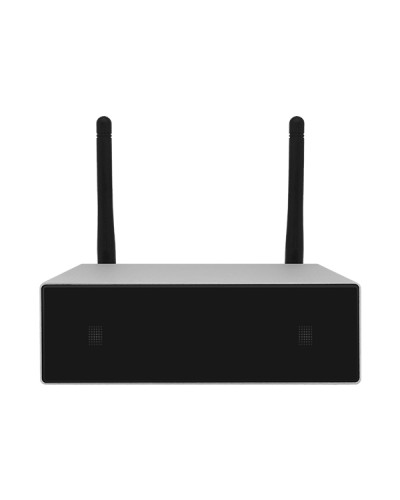 Усилитель потоковой передачи WIFI DSPPA DW-0250 в Сочи Система оповещения и трансляции Dsppa Pintop.ru