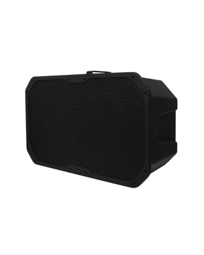 Акустическое устройство DSPPA LRAS-1830 в Сочи Система оповещения и трансляции Dsppa Pintop.ru