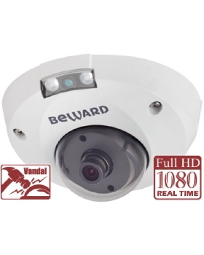 IP-камера видеонаблюдения купольная Beward NK55630D8 (2.8 мм) в Сочи IP-камеры Pintop.ru