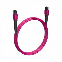 Кабельная сборка MPO(F) -MPO(F)-8 волокон 50/125 OM4, 5 m Cabeus (FOP-50-OM4-8-MPO(F)-8-MPO(F)-B-5m)