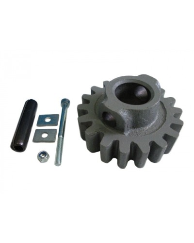 Шестерня ведущая ВК Came 119RIBK002 в Сочи Запчасти для шлагбаумов и автоматики Pintop.ru