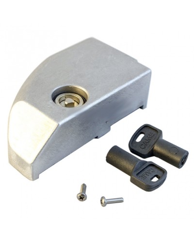 Дверца замка разблокировки BK Came 119RIBK012 в Сочи Запчасти для шлагбаумов и автоматики Pintop.ru