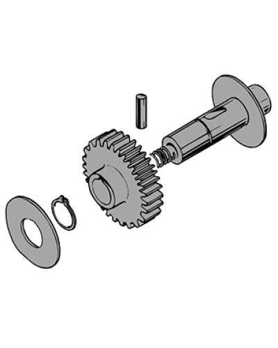Вал в сборе C100 Came 119RIC011 в Сочи Запчасти для шлагбаумов и автоматики Pintop.ru