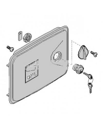 Дверца замка разблокировки FERNI Came 119RID136 в Сочи Запчасти для шлагбаумов и автоматики Pintop.ru