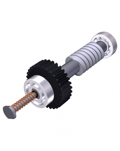 Червяк редуктора FAST40 Came 119RID374 в Сочи Запчасти для шлагбаумов и автоматики Pintop.ru