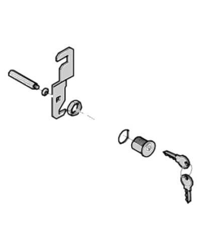 Замок дверцы G4040 G4041 Came 119RIG176 в Сочи Запчасти для шлагбаумов и автоматики Pintop.ru