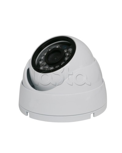 Камера видеонаблюдения купольная EverFocus ACE-IAB20XHD в Сочи Аналоговые камеры Pintop.ru