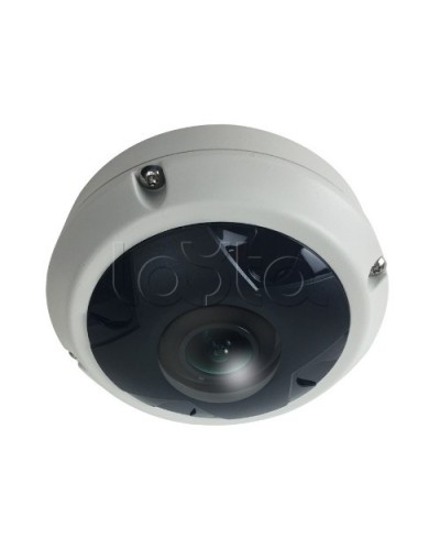 IP-камера видеонаблюдения купольная EverFocus ACE-KU89F в Сочи IP-камеры Pintop.ru