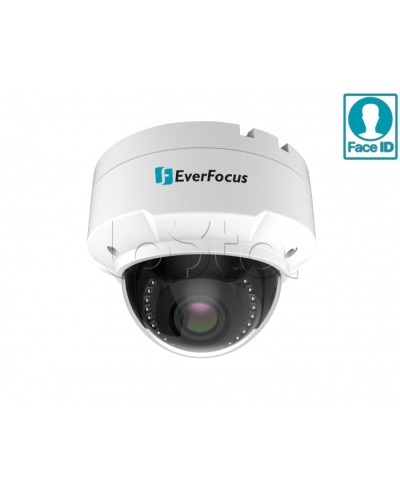 IP-камера видеонаблюдения купольная EverFocus EHN-2550 в Сочи IP-камеры Pintop.ru