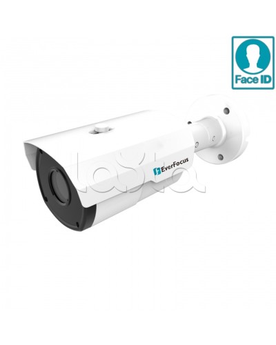 IP-камера видеонаблюдения в стандартном исполнении EverFocus EZN-2850 в Сочи IP-камеры Pintop.ru