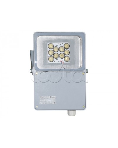 Прожектор светодиодный Forteza ФОСФОР-40/10-А (металл) в Сочи Аксессуары для средств охраны периметра Pintop.ru