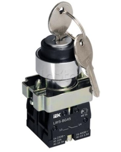 Переключатель LAY5-BG45 на 2 положения с ключом без фиксации IEK BSW80-BG-2-K02 в Сочи Аксессуары для стоек и шкафов Pintop.ru