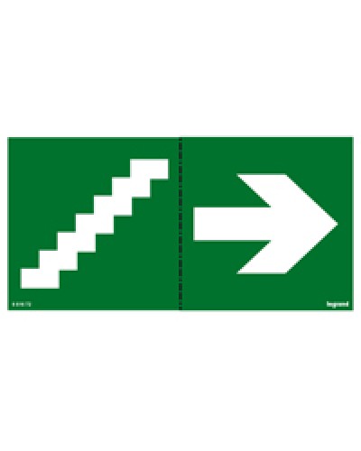 Пиктограмма 100х200 лестница стрелка Legrand 661672 в Сочи Дополнительное оборудование для ОПС Pintop.ru
