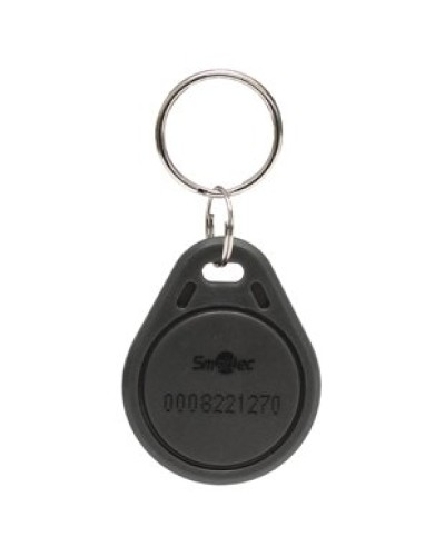 Брелок EmMarin Smartec ST-PT011EM-GR в Сочи Оптовые идентификаторы Pintop.ru