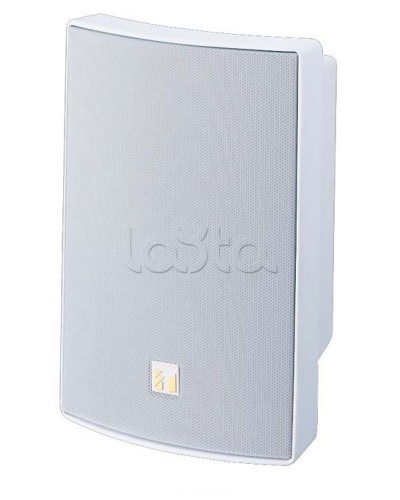 Громкоговоритель универсальный двухполосный TOA BS-1030W в Сочи Системы оповещения и трансляции TOA Pintop.ru