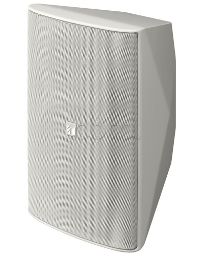 Громкоговоритель 2 полосный TOA F-2000 WT в Сочи Системы оповещения и трансляции TOA Pintop.ru