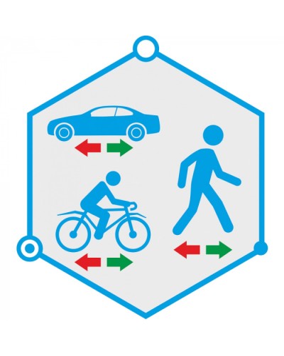 ПО детектор движения в запрещенном направлении TRASSIR Direction Detector в Сочи Системы видеонаблюдения Pintop.ru