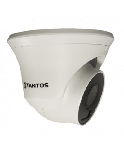 IP-видеокамера в купольном исполнении уличная Tantos TSi-Beco45FP в Сочи IP-камеры Pintop.ru