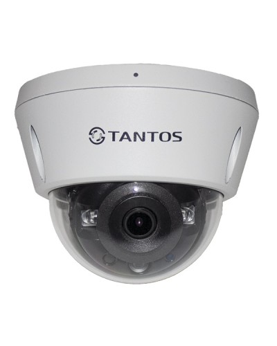 IP-видеокамера в купольном исполнении Tantos TSi-Vn253VZ в Сочи IP-камеры Pintop.ru