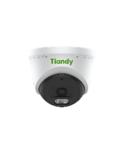 Уличная купольная IP-камера Tiandy AK TC-C320N Spec:I3/E/Y/2.8mm в Сочи IP-камеры Pintop.ru
