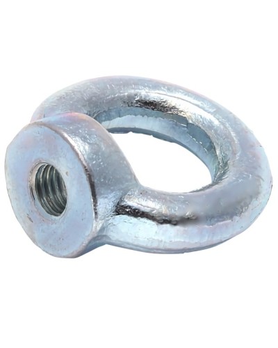 Рым-гайка М10 DIN 582 (50 шт/уп) Промрукав (PR08.3905) в Сочи Крепеж Pintop.ru