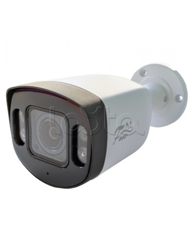 IP-камера видеонаблюдения в стандартном исполнении Fox FX-IPC-C40AP-IR H.265 AI в Сочи IP-камеры Pintop.ru