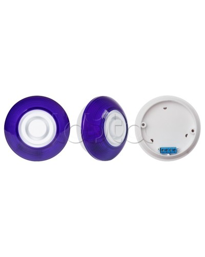 Оповещатель комбинированный SLT Марс 12-КП (строб, син) в Сочи Оповещатели Pintop.ru