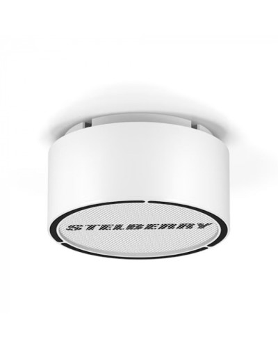 Громкоговоритель STELBERRY F-306W в Сочи Акустические системы Pintop.ru