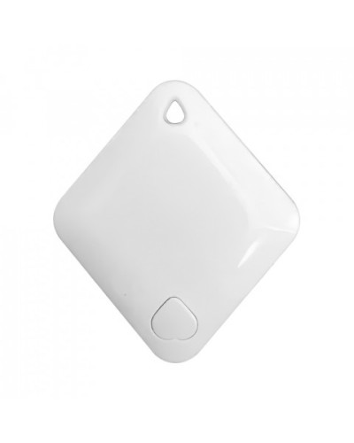 Брелок-идентификатор BLE ProxWay PW-Tag S1 W в Сочи Оптовые идентификаторы Pintop.ru