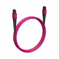 Кабельная сборка MPO(F) -MPO(M)-8 волокон 50/125 OM4, 5 m Cabeus (FOP-50-OM4-8-MPO(F)-8-MPO(M)-B-5m)